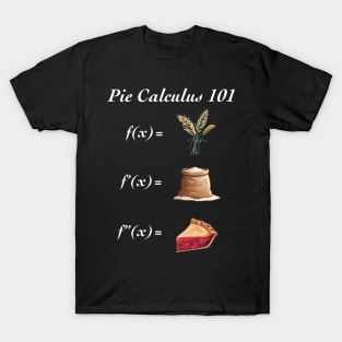 Pie Calculus T-Shirt